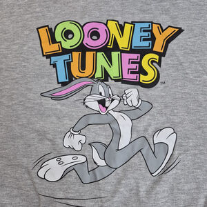 Looney Tunes Gray Pullover Sweatshirt Bugs Bunny Tweety Daffy Size 2XL